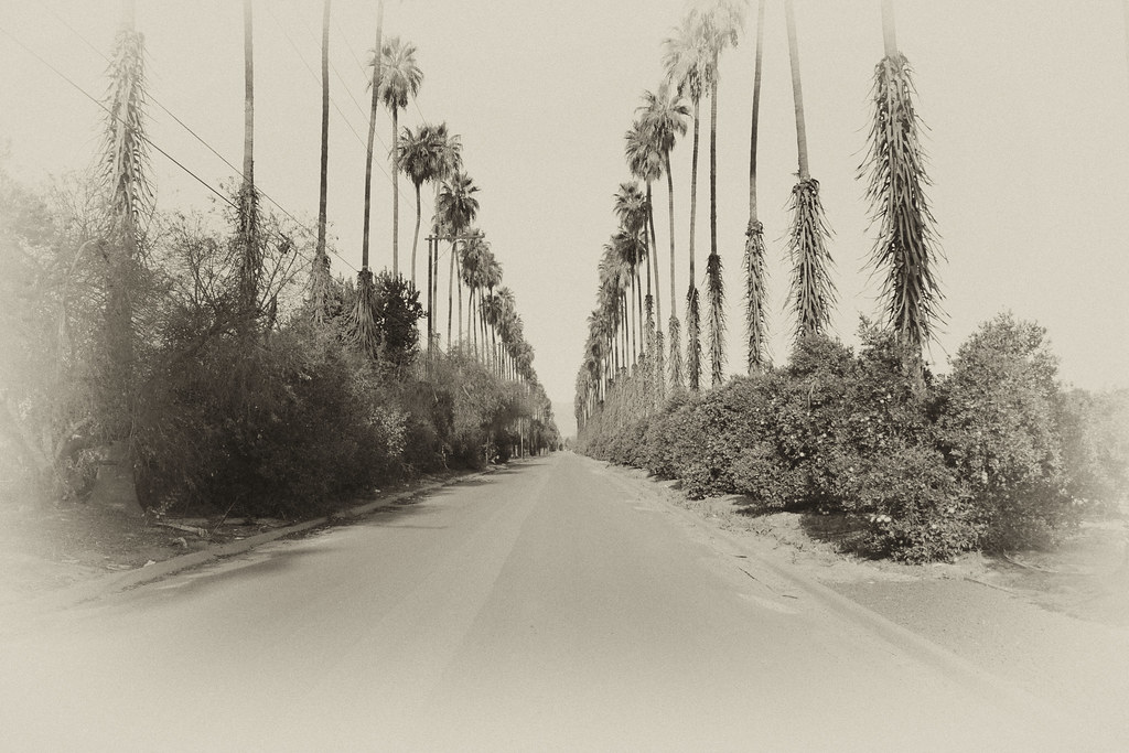Victoria Orange Groves Riverside, CA Victoria Orange Grove… Flickr