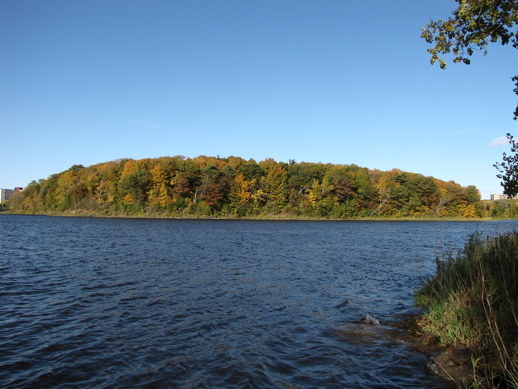 Île aux chats dans RdP.jpg L'Île aux chats en automne Flickr