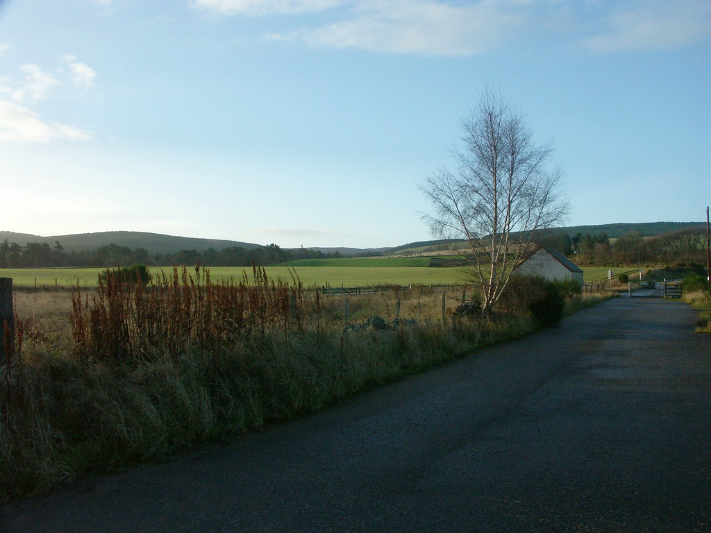 20041205 061 Rothes Elgin Road Minolta DSC Martyn Jenkins Flickr