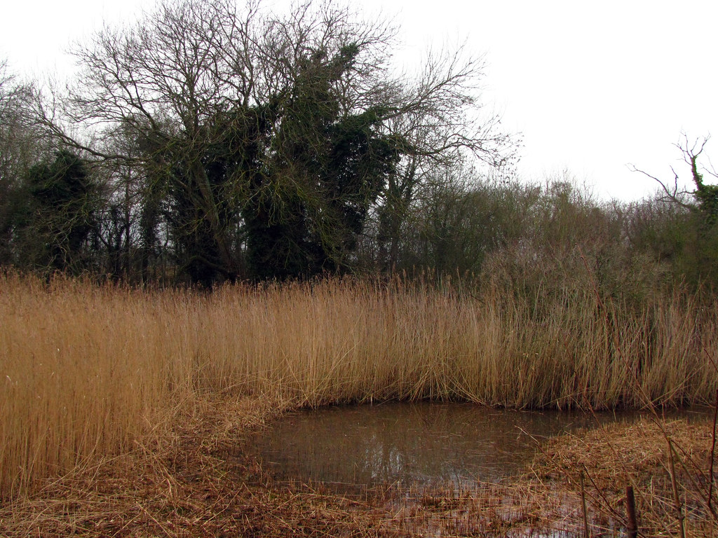 Lashford Lane Fen, Wootton , Oxfordshire Lashford Lane Fen… Flickr