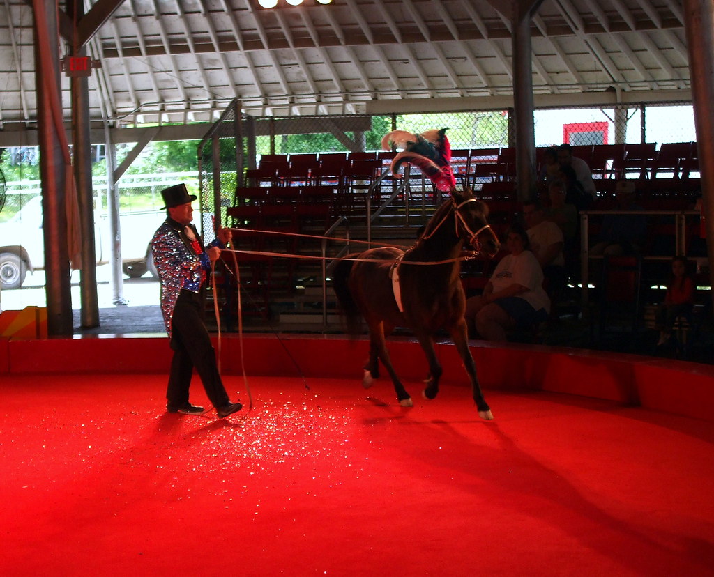 Horse Act Razzle Dazzle Revue. Mark Flickr
