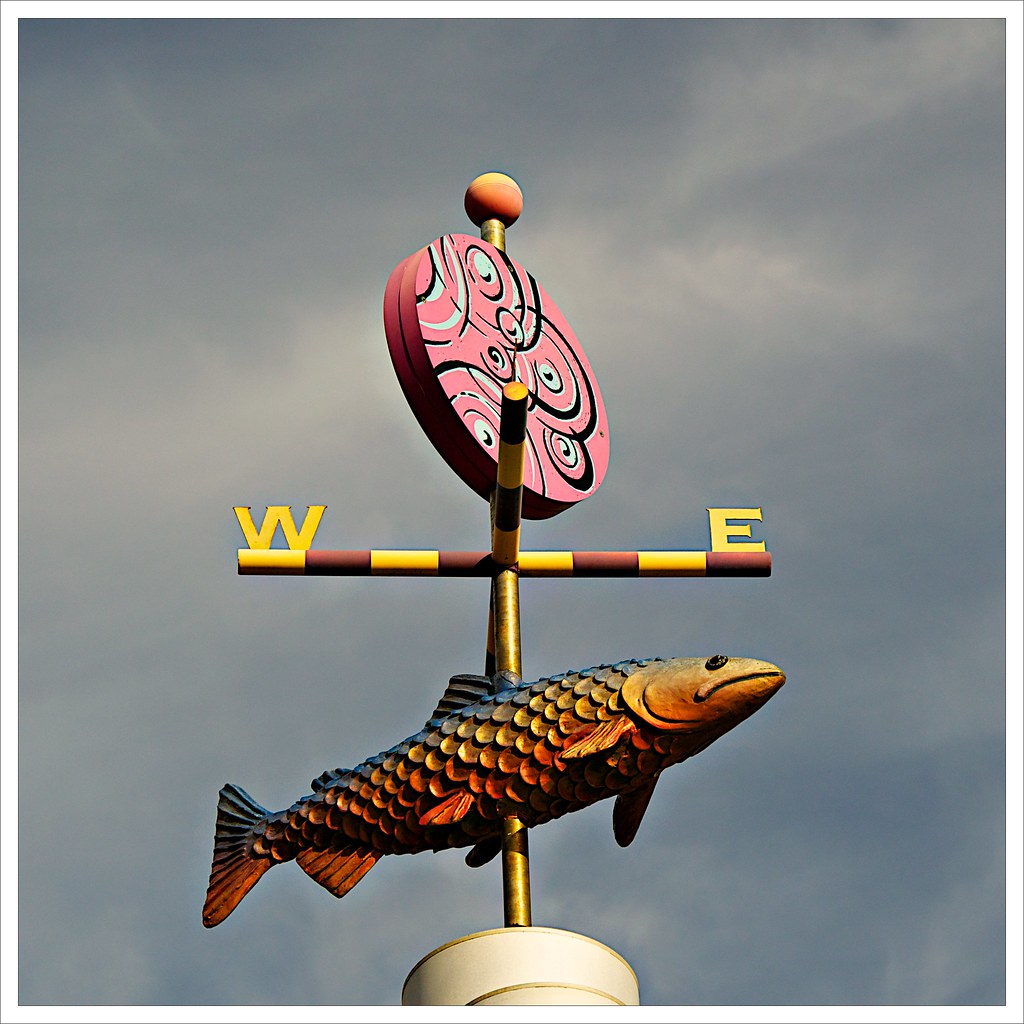 Weather Vane Paige Ackerman Flickr