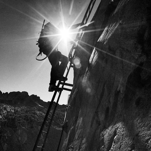 Up! Direction sun! M8.2 + 12.8/21mm A Free Eye Flickr