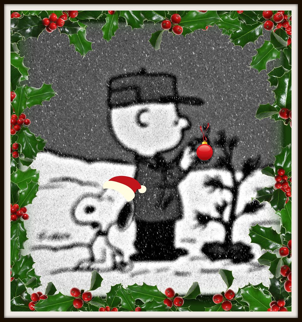 Charlie Brown's Christmas Tree Christmas 2011 "This will b… Flickr
