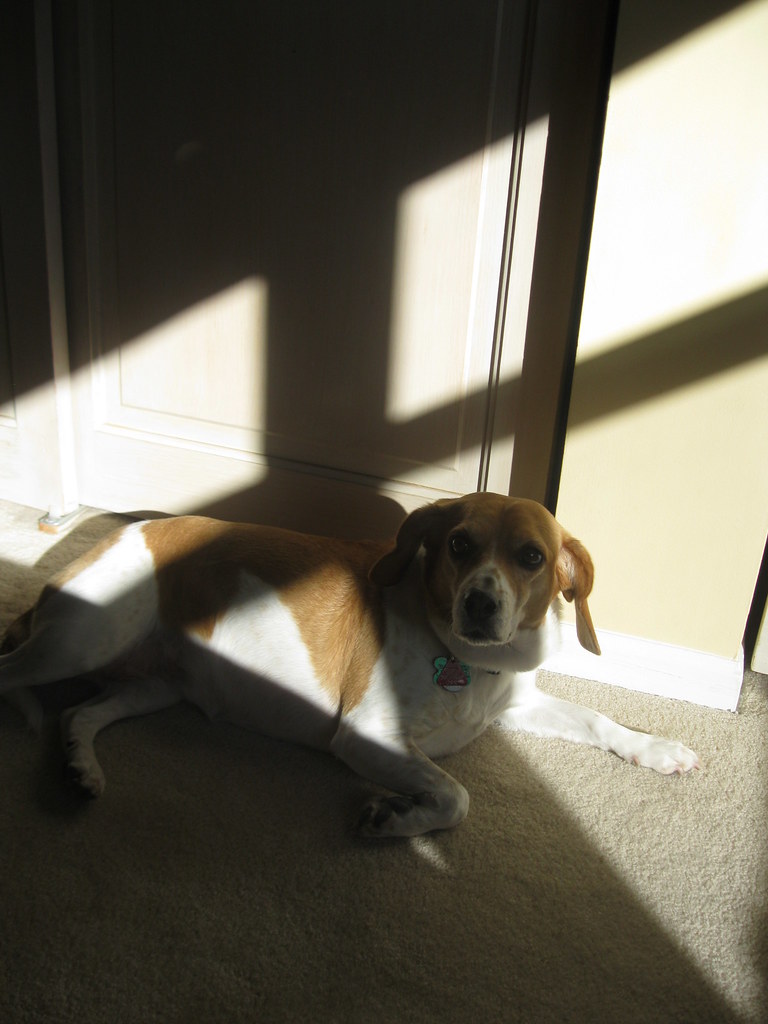 Day 6 Sun Although it has been warmer than usual for Jan… Flickr