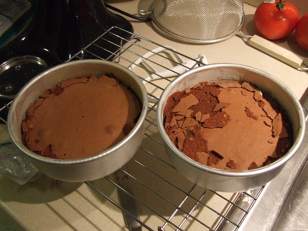 Chocolate sponge cake fail Gaidig Flickr
