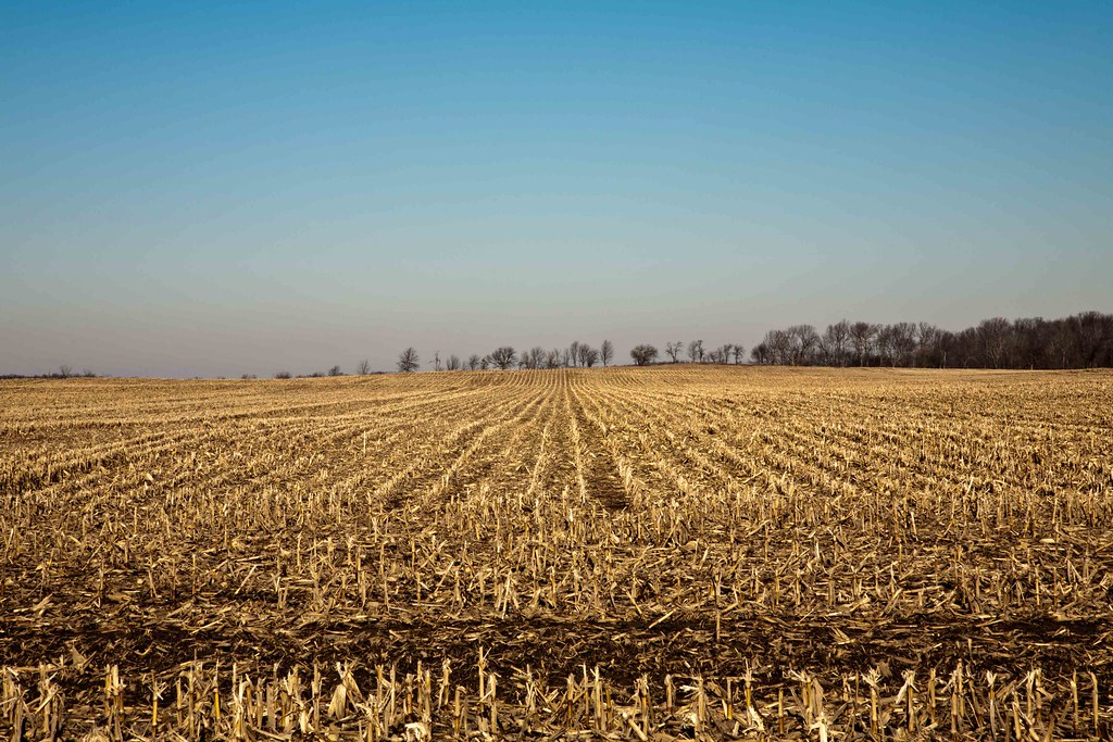Corn Field A postharvest corn field near Jamestown, Ohio.… Edward