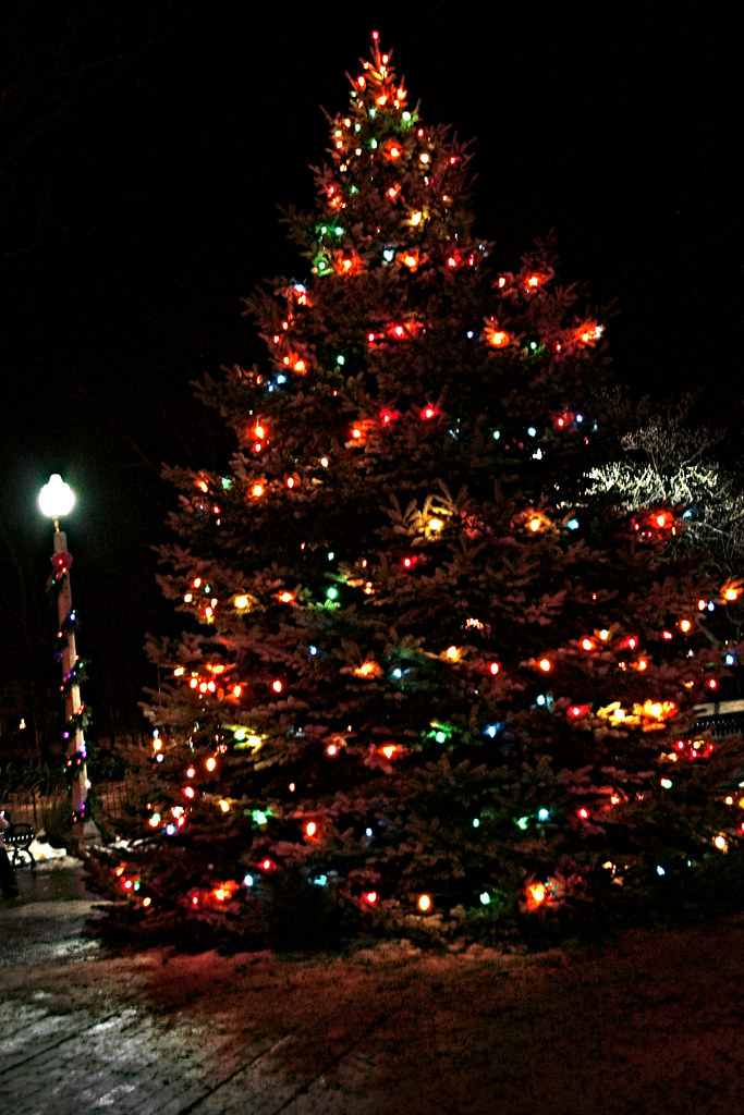 Eaton Rapids Christmas Parade Christmas Parade in Eaton Ra… Flickr