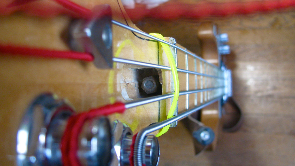 Nut The truss rod adjuster nut on my Peavey T40. I took t… Flickr