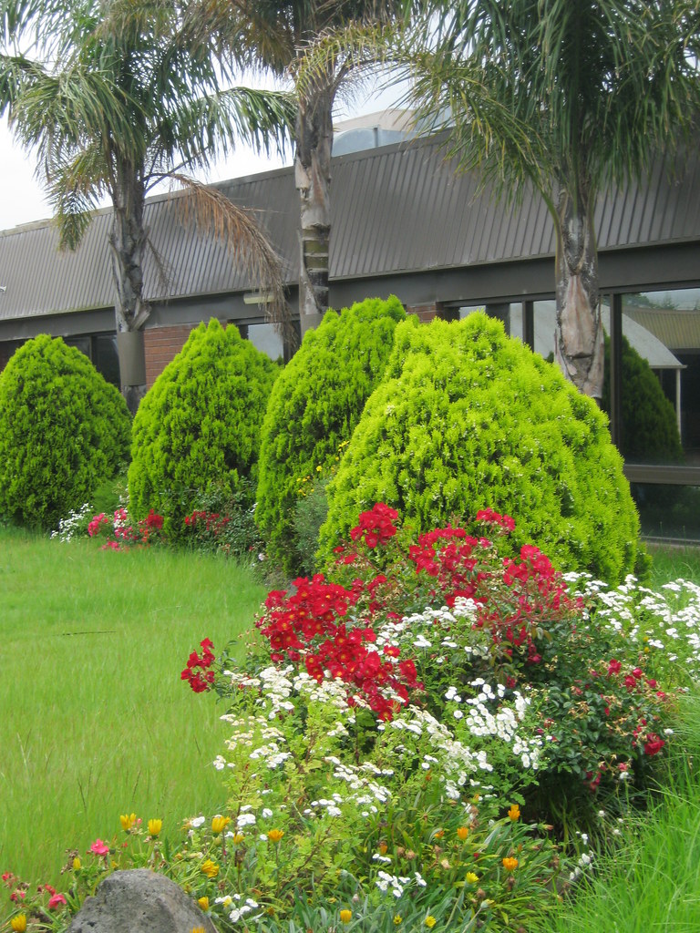 Garden sinking in neglect What was once lovely well kept a… Flickr