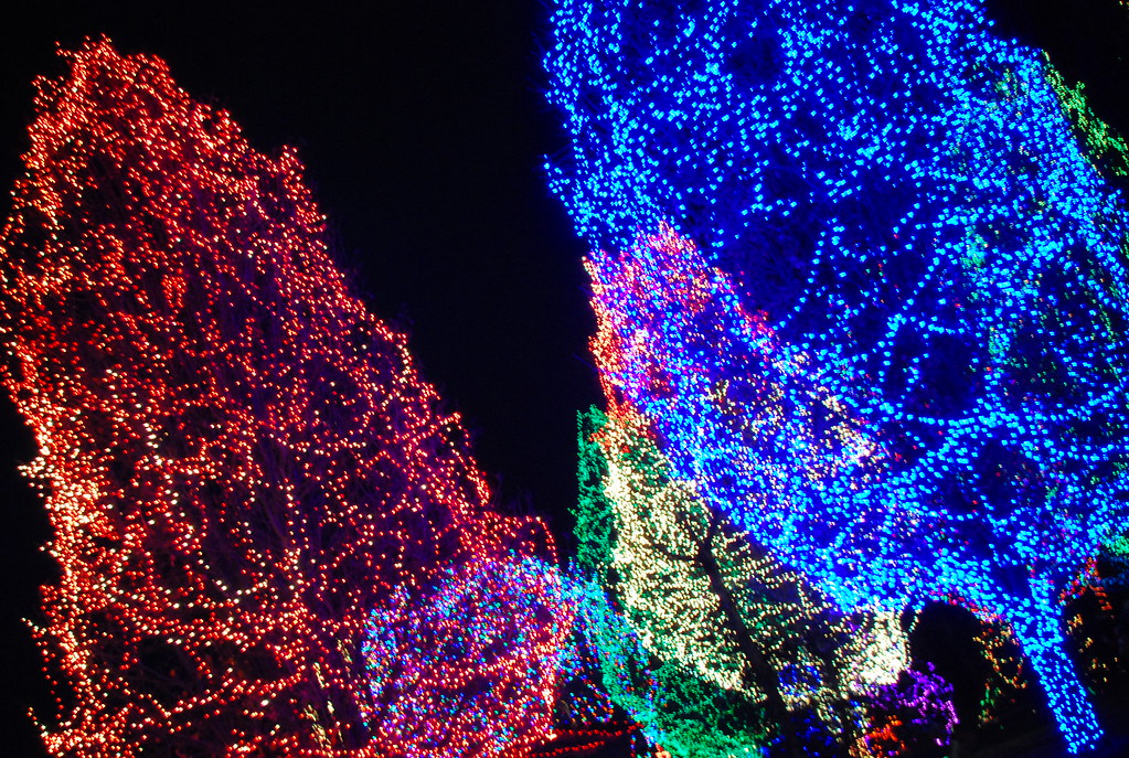 caswell county christmas lights Agatha Donkar Lund Flickr