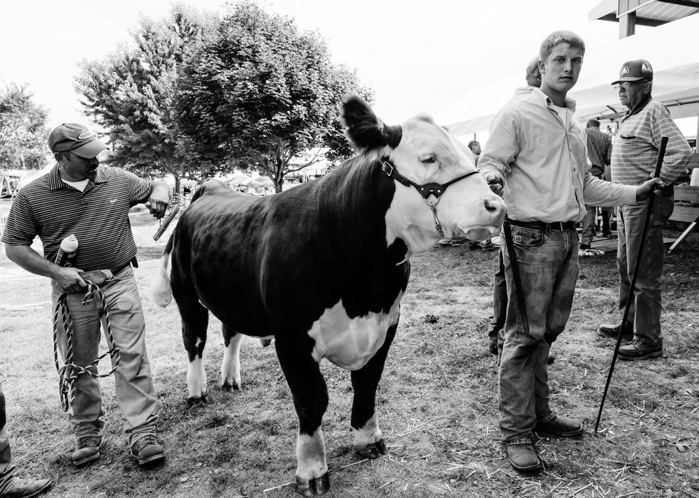 County Fair Sandwich, Illinois Art L Flickr