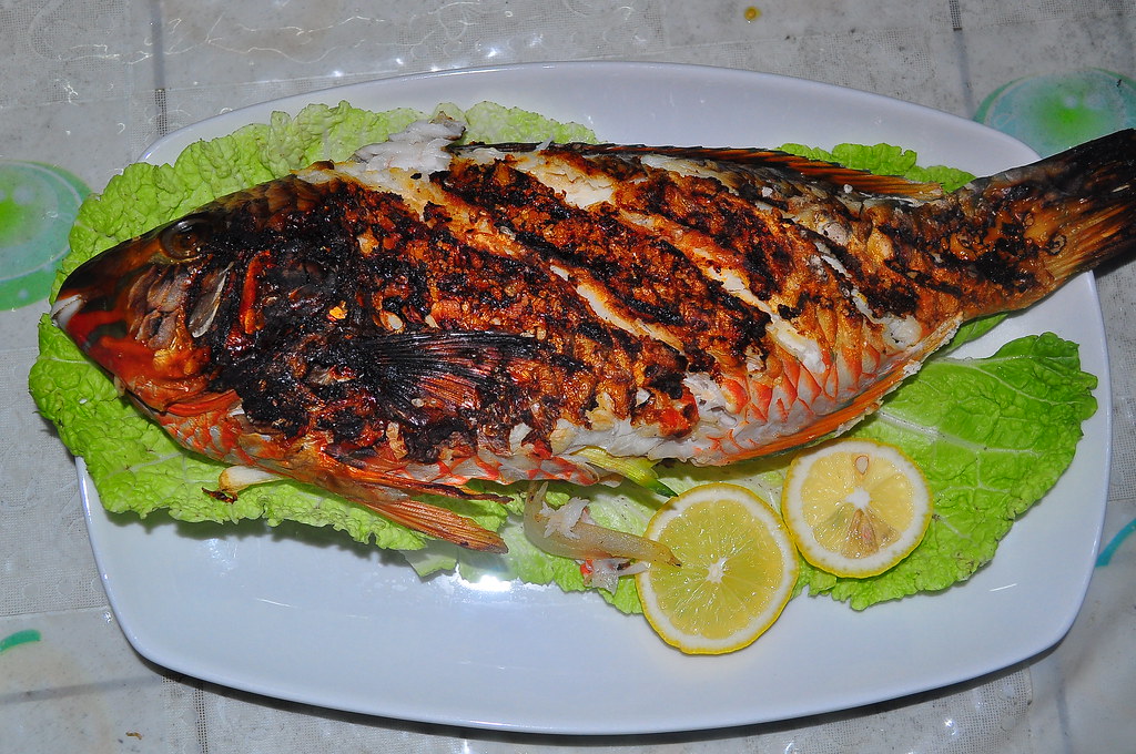 GRILLED PARROT FISH Grilled Parrot Fish I cooked at home. whologwhy