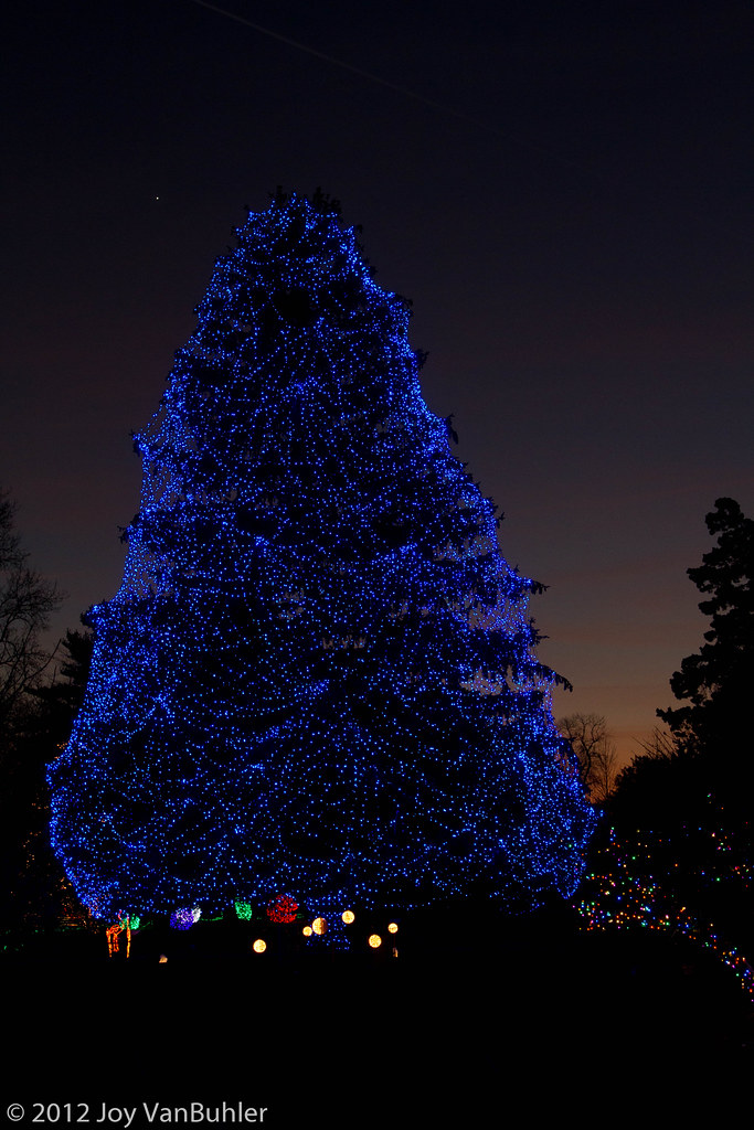 Toledo Zoo Lights Before Christmas Display Joy VanBuhler Flickr