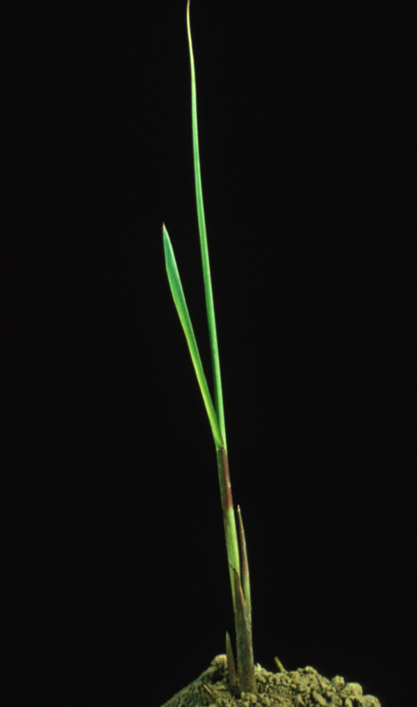 p_81a - a photo on Flickriver