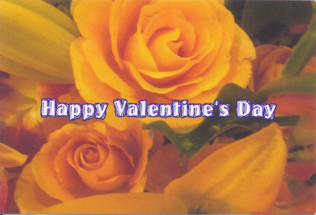 Yellow RosesHappy Valentine's Day Mailbox HappinessAngee at