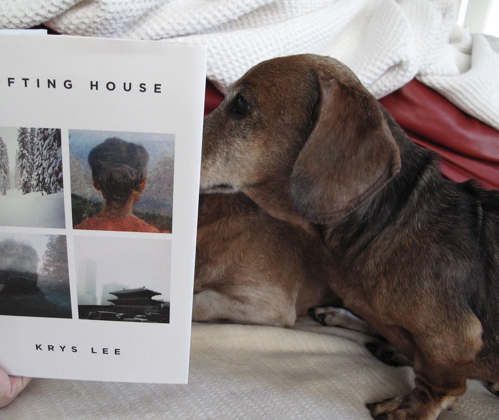 Scarlet and Ziggy reading "Drifting House" by Krys Lee Flickr