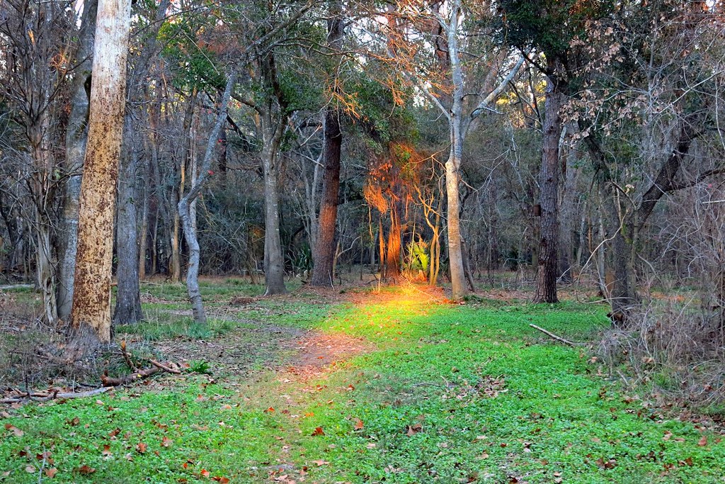Bear Creek park. Houston txNotAlien Flickr
