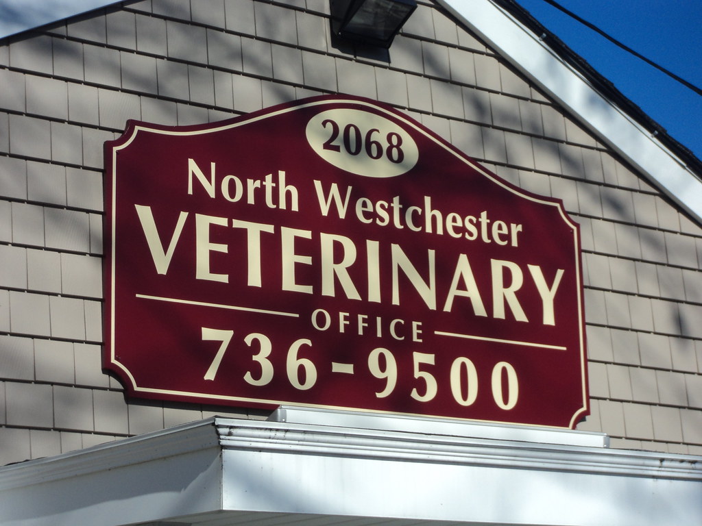Office of the Week North Westchester Veterinary Office in Cortlandt