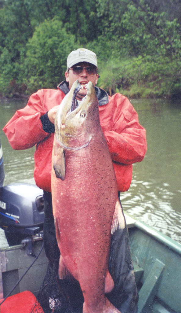 King Salmon Greg G. with his huge King Salmon caught on th… Flickr