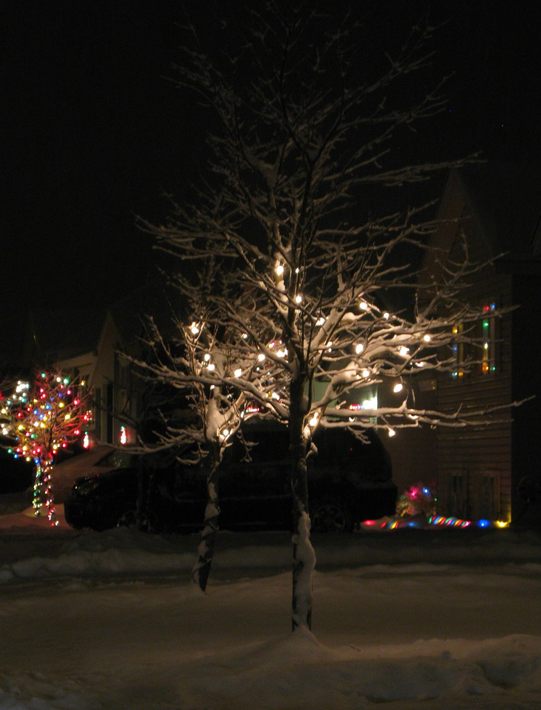 Christmas Lights St. John's, Newfoundland Tracy Christina Flickr