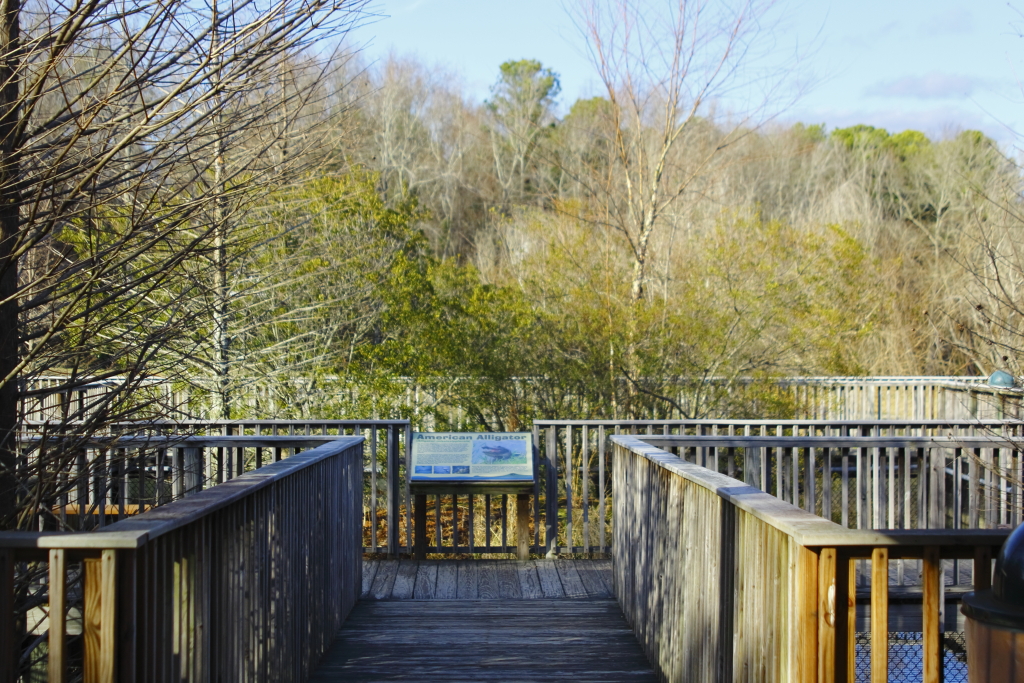 observation area Warm Springs Fish Hatchery durtm4n Flickr