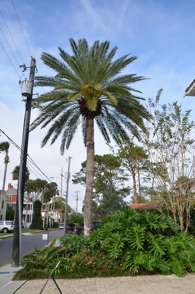 Garden Club of St. Augustine 2015 home tour Hurley Haywo… Flickr