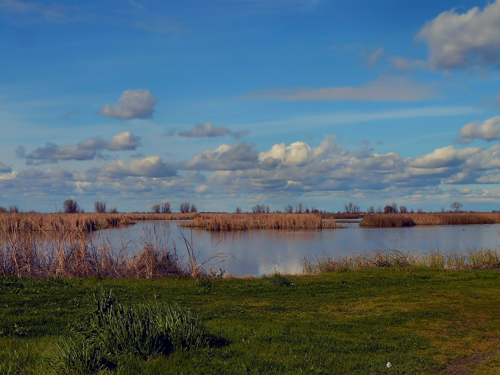 Elevation of Delevan, CA, USA Topographic Map Altitude Map