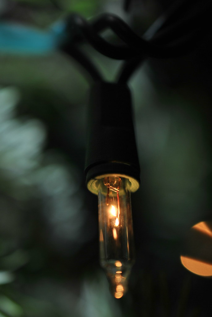 Fairy Light Macro andrew leahey Flickr
