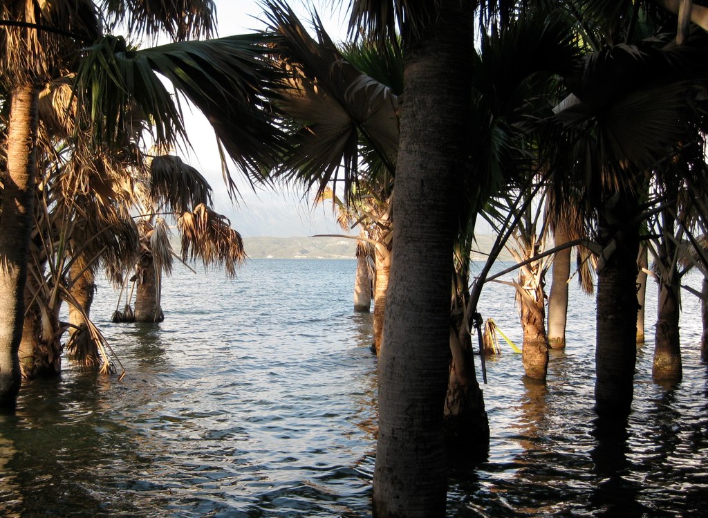 Fond Parisien Haiti Map Beulah Sallyann