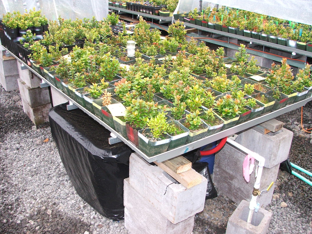 Subirrigation system Subirrigation is an alternative to … Flickr