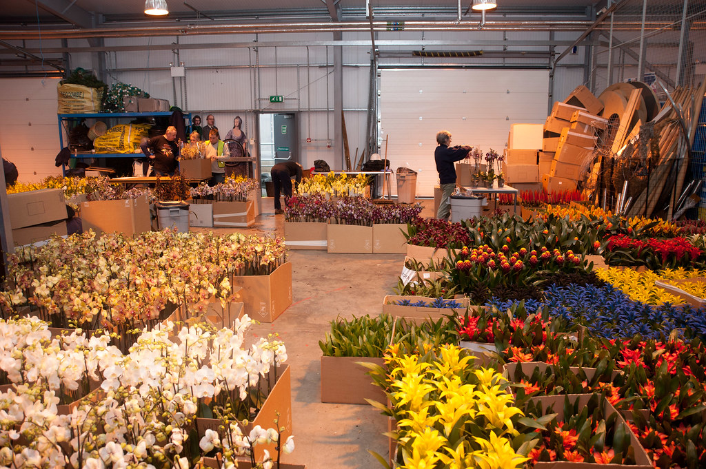 Storing the plants in the Lower Nursery The plants are sto… Flickr