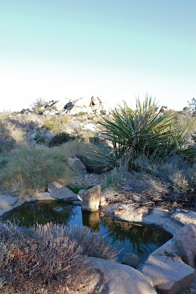 Rimrock, CA Naturalism punctuated by notes of wild art are… Flickr