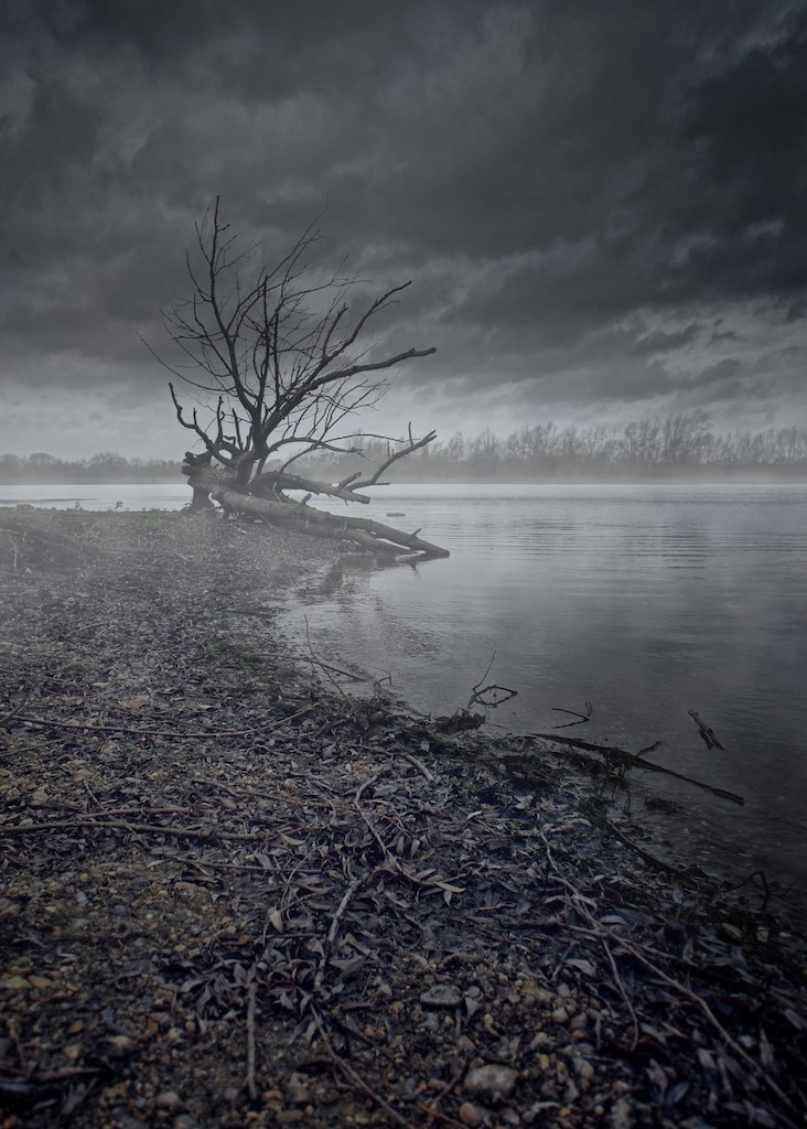 Dead Lake Photograph taken on a lake near my work in Witha… Flickr