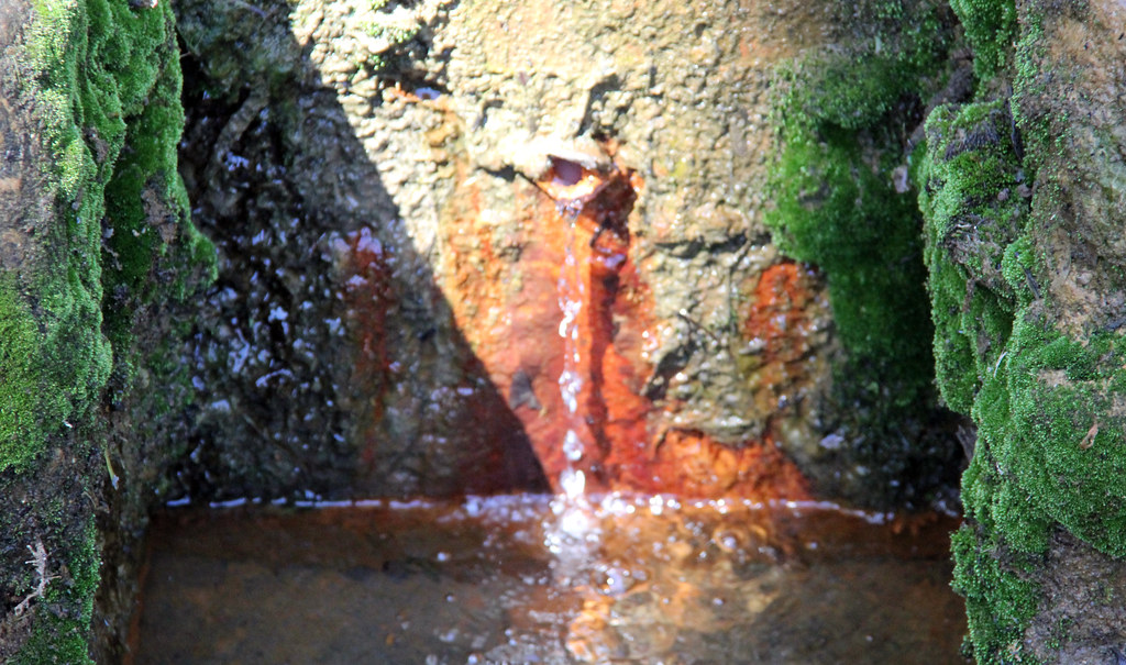 mineral water leitches creek pit spring_4887 gervo1865_2 LJ
