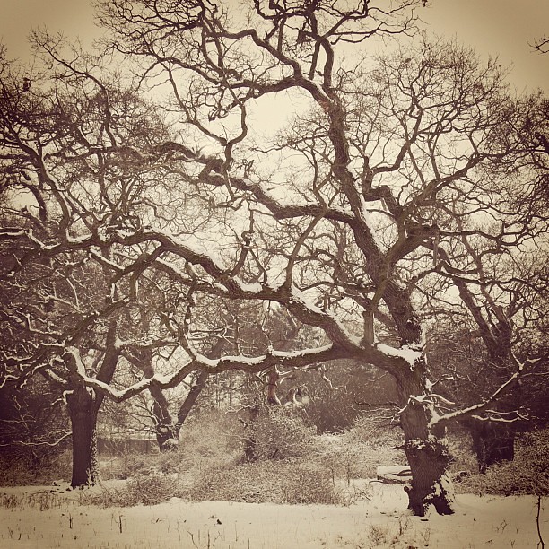 The best time to plant a tree was 20 years ago. The next b… Flickr