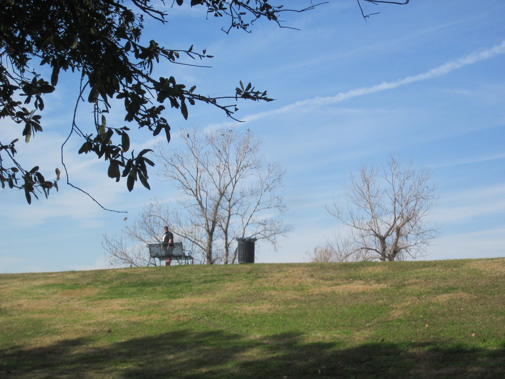 Nine Mile Point Levee Bench Nine Mile Point, Louisiana. On… Flickr