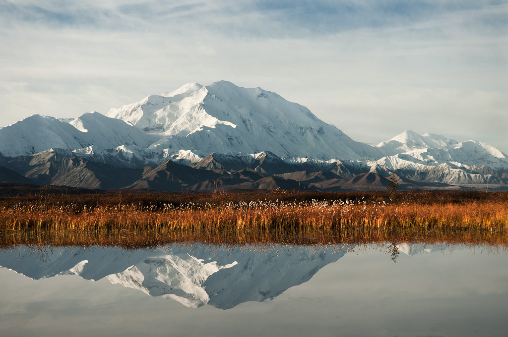 Denali, Fall (NPS Photo/ Tim Rains) Check out the official… Flickr