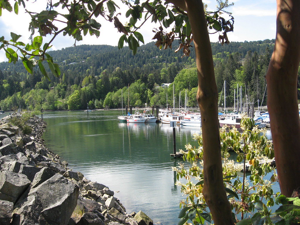 Salt Spring Island BC Harbour view through the arbutus Flickr