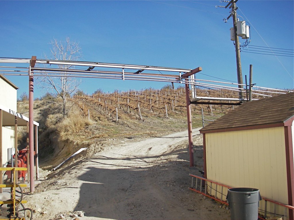 IMGP4230Chapelle Recently harvested vines above the winery… Ken