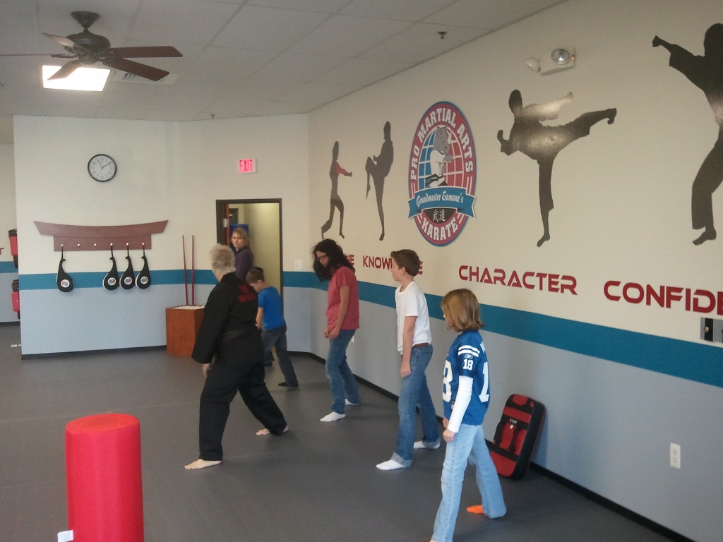 Pro Martial Arts Lake Orion The Lake Orion, Michigan Pro M… Flickr