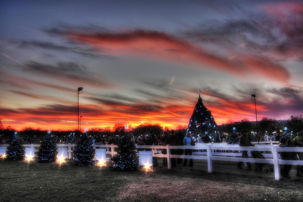 National Christmas Tree Christopher Skillman Flickr