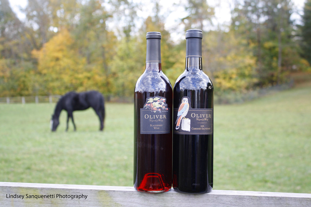 horses & wine Two of my favorite things! Oliver winery. Lindsey