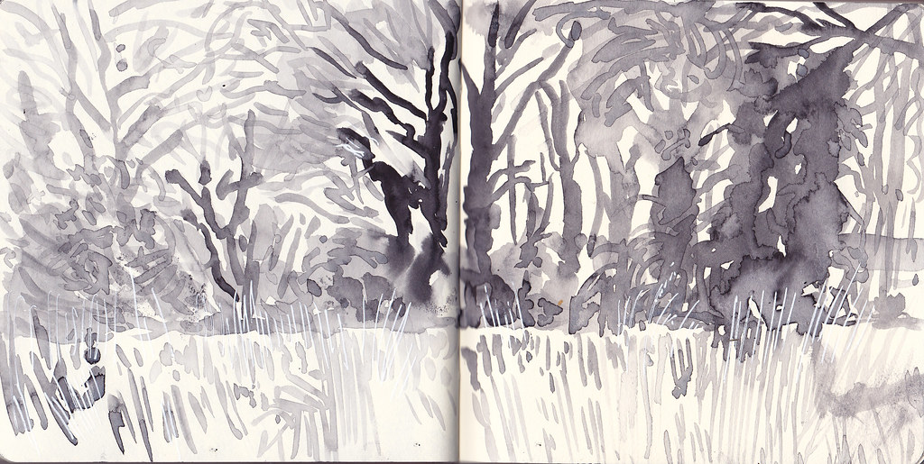 Lashford Lane Fen, Wootton, Oxfordshire a photo on Flickriver