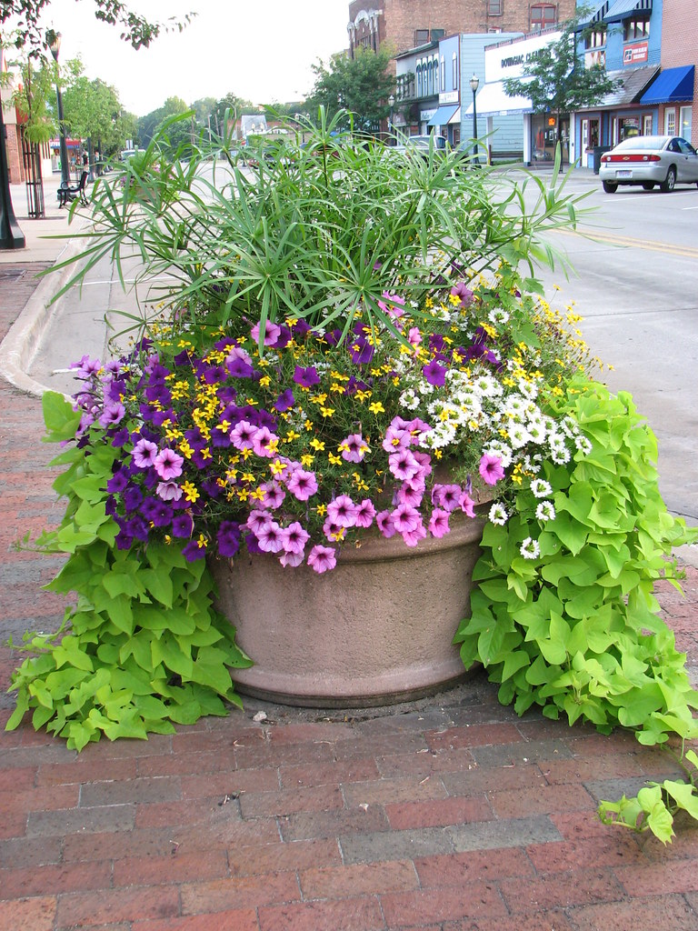 Beautiful PlanterDowagiac, Michigan Joyce Cole Flickr