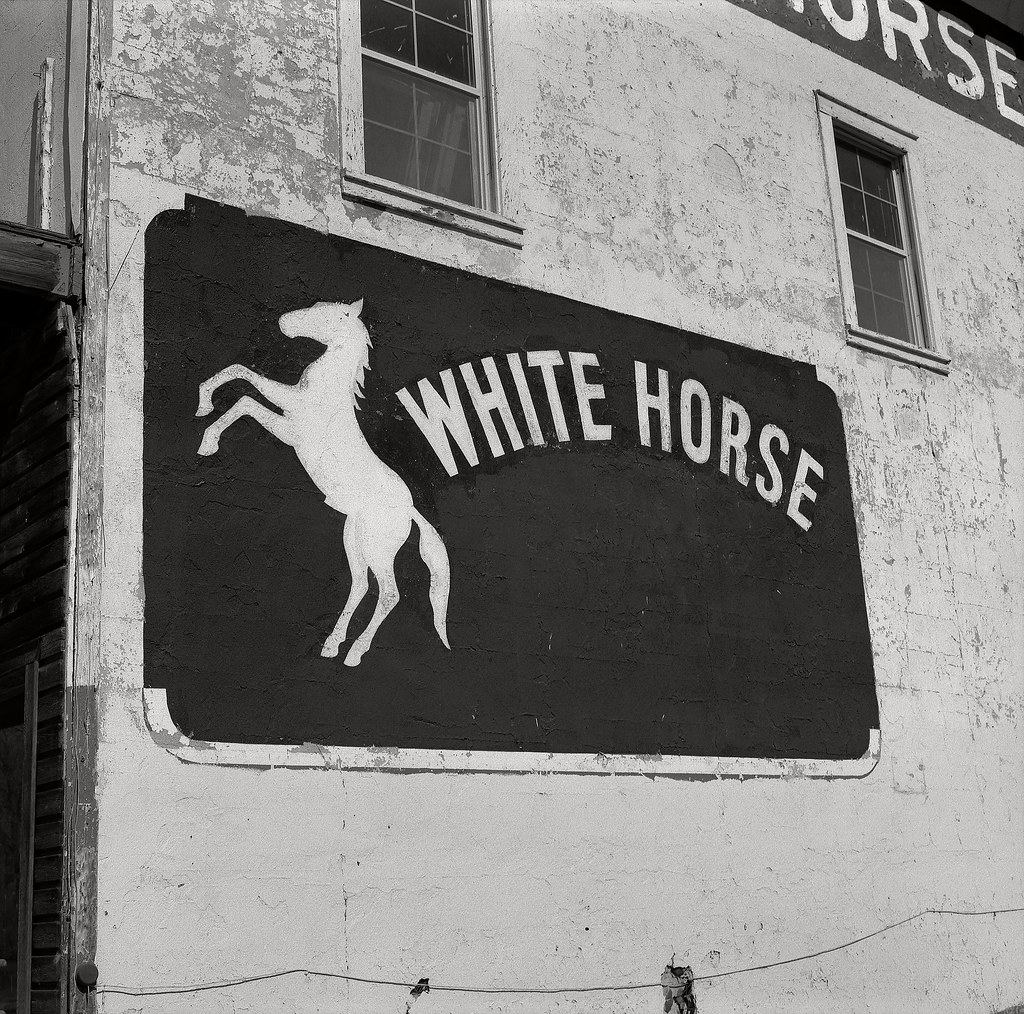 White Horse, McDermitt, Oregon/Nevada Austin Granger Flickr