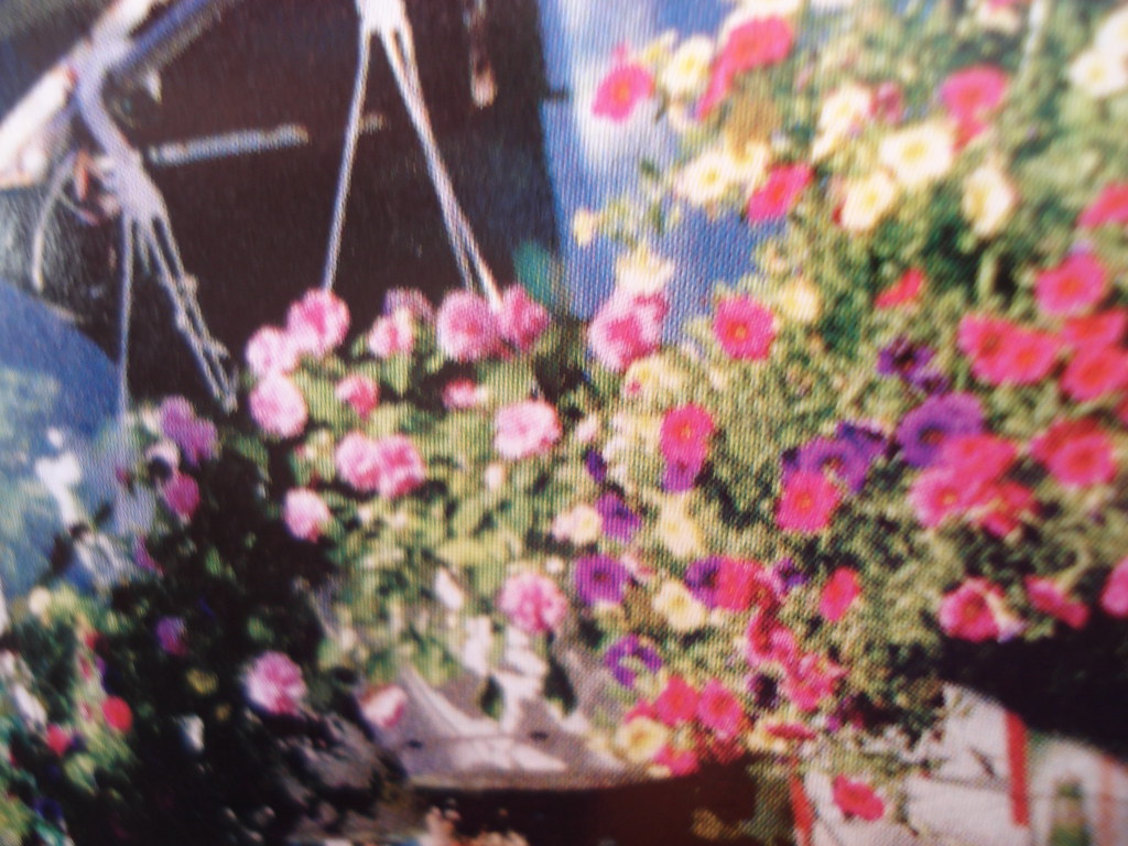 8.10.harris beach week 012 2010 08 Harris Beach Week Flickr