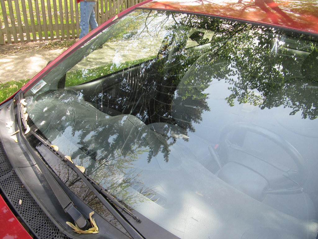 Windshield Some of our neighbors got hit too Maggie Not Margaret
