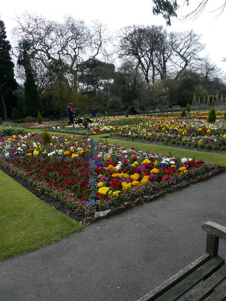 Flowers Swansea Botanical Gardens Singleton Park 5th Apr… Flickr