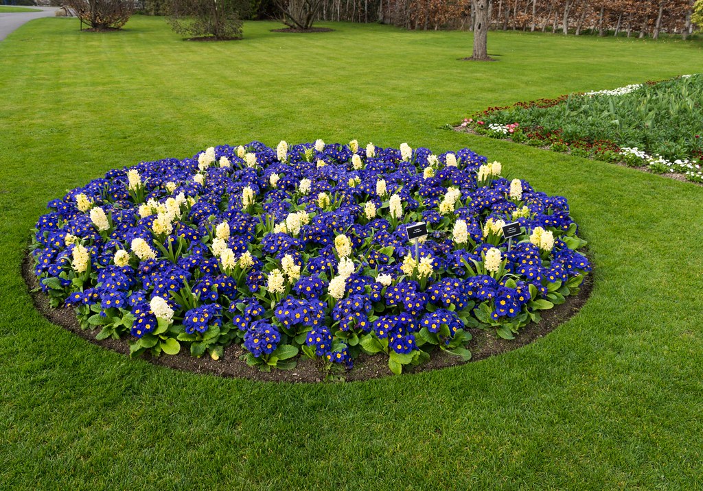 Botanic Gardens Dublin The National Botanic Gardens is n… Flickr